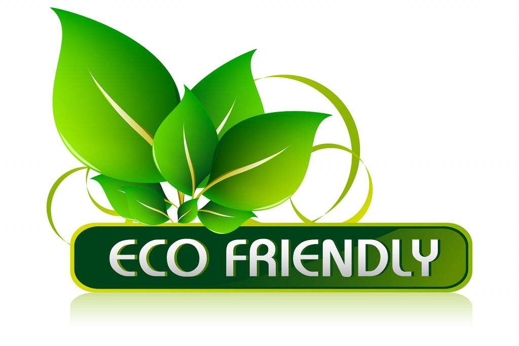 business plan for eco friendly products